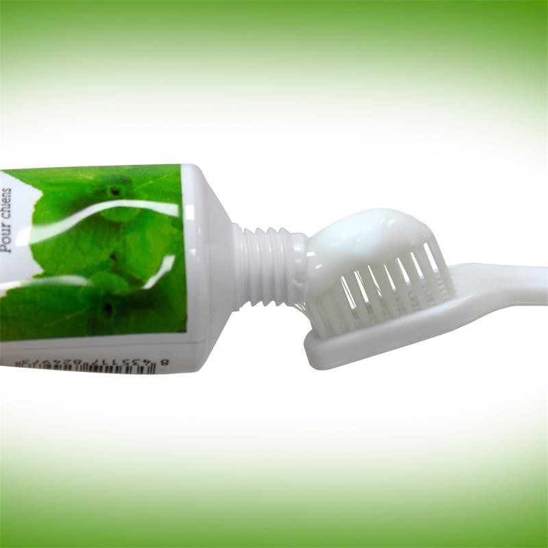 PASTA DENTIFRICA PERROS 100 GR.MENTA.